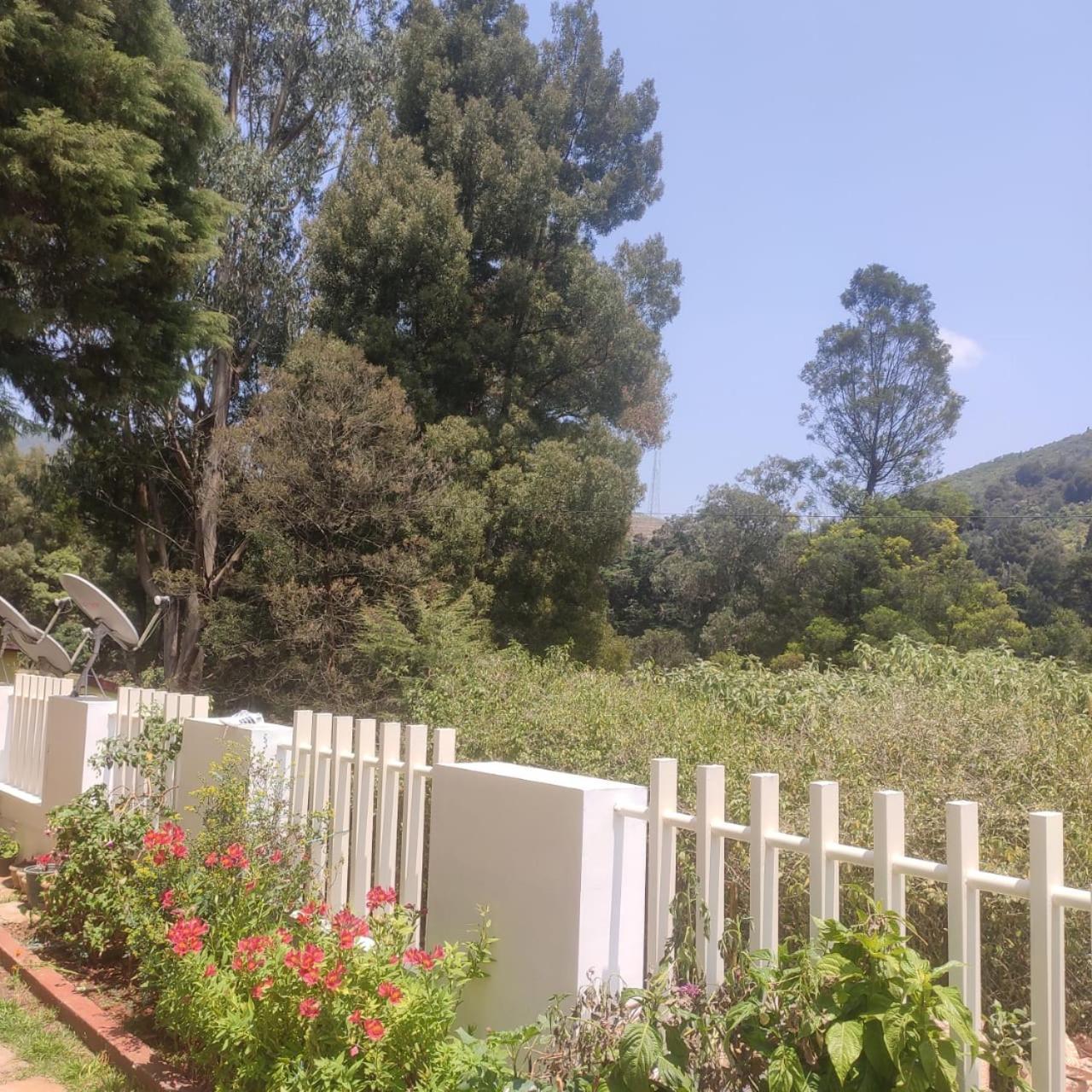 Villa Snowdrops Udagamandalam Exterior foto